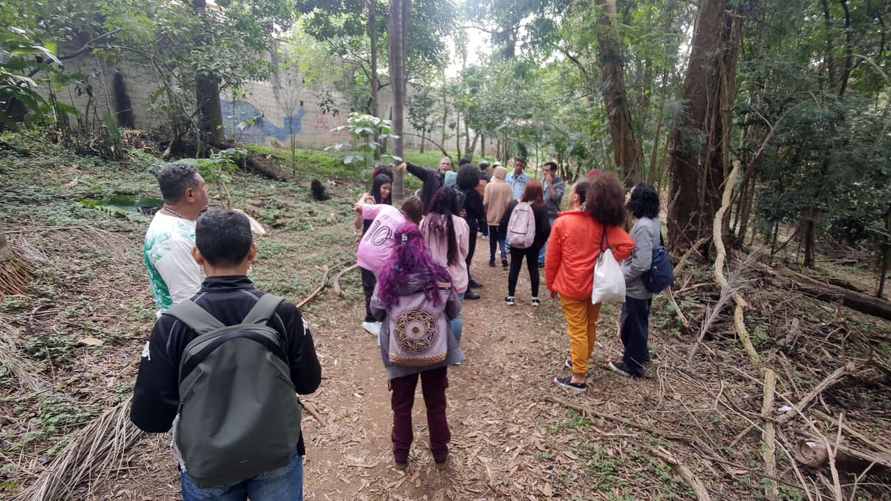 bosque maia_Easy-Resize.com