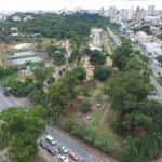 Bosque Maia