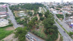Bosque Maia