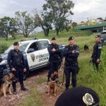 GCM, operação Ordem e Paz