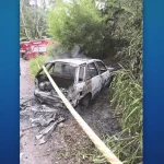 carro queimado em área de mata
