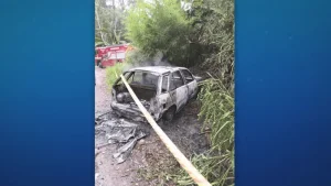 carro queimado em área de mata