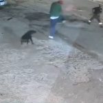 ciclista morre ao impedir assalto a empresa