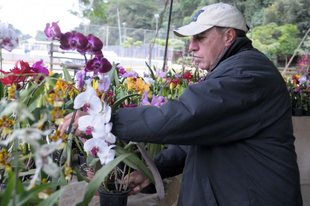 Orquidário