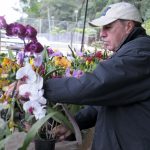 Orquidário