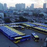 programa Geladão, ônibus municipais