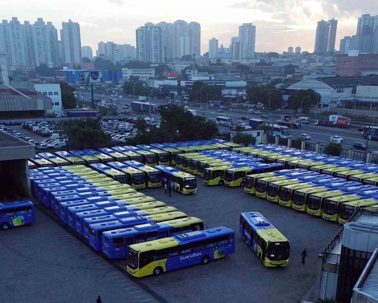 programa Geladão, ônibus municipais