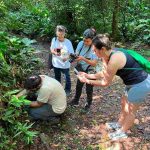 Desafio Mundial da Natureza Urbana