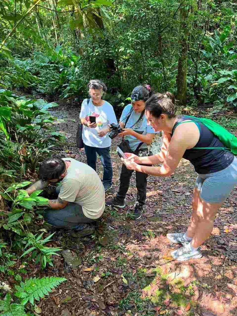 Desafio Mundial da Natureza Urbana