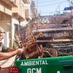 crime ambiental
