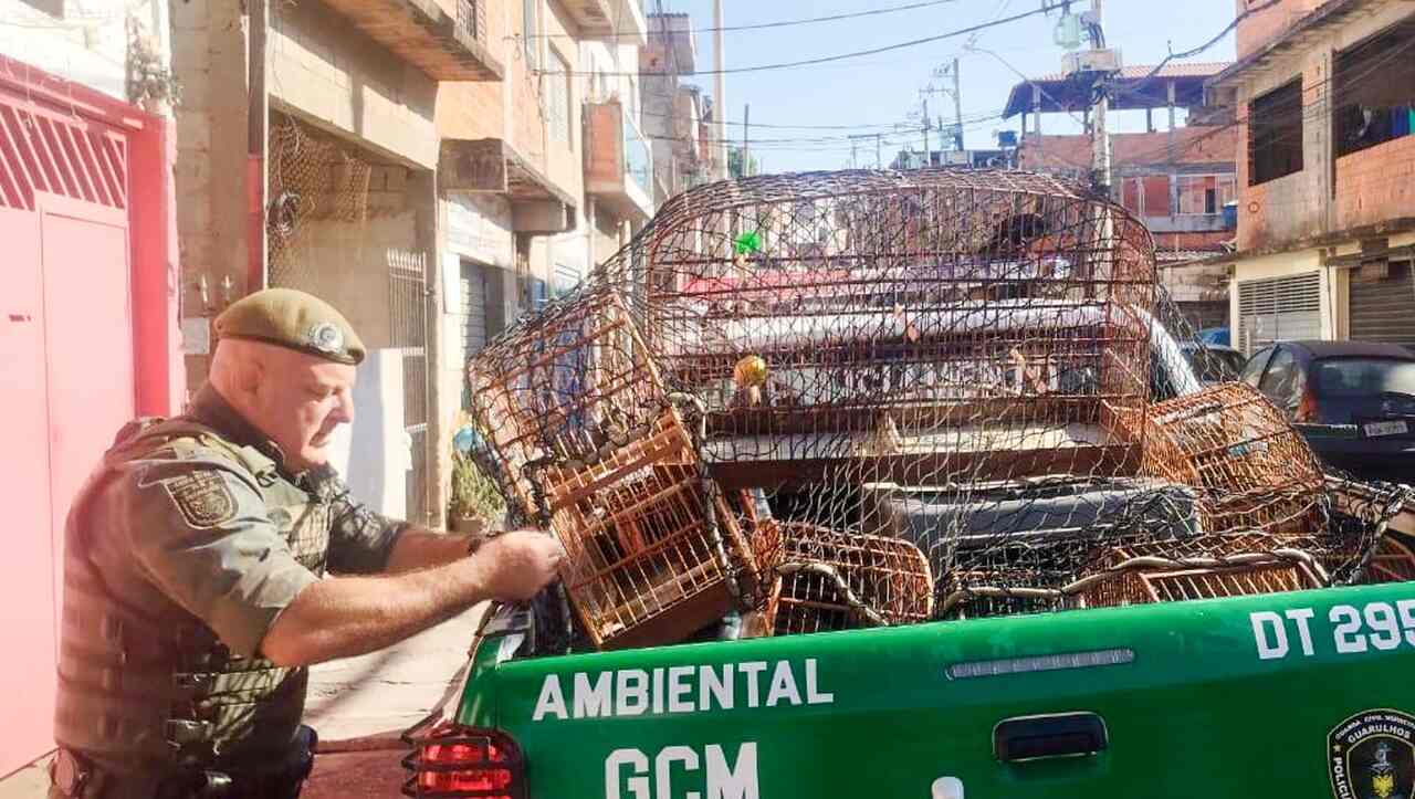 crime ambiental