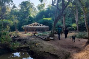 Aldeia Filhos Desta Terra