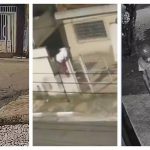 homem pula muro e mata idosa