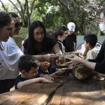 Atividades de férias sobre jacarés no Zoológico de Guarulhos