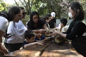 Atividades de férias sobre jacarés no Zoológico de Guarulhos