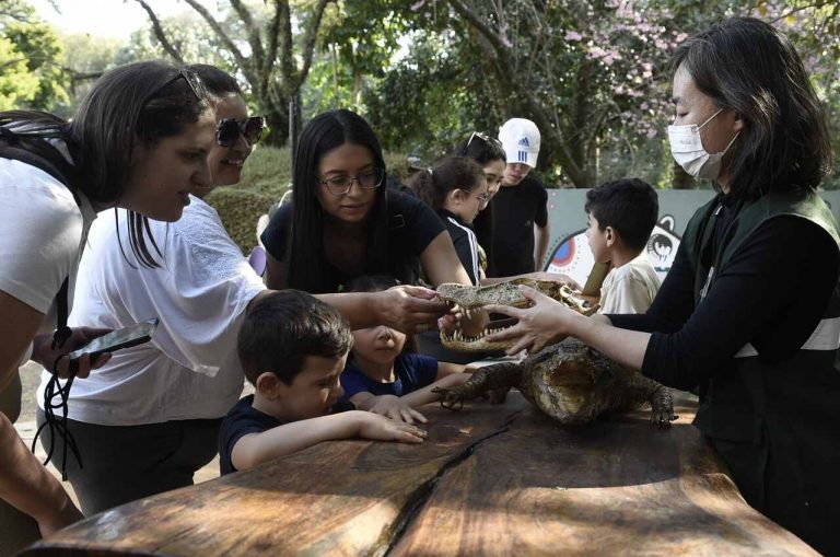 Atividades de férias sobre jacarés no Zoológico de Guarulhos