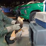 GCM Ambiental