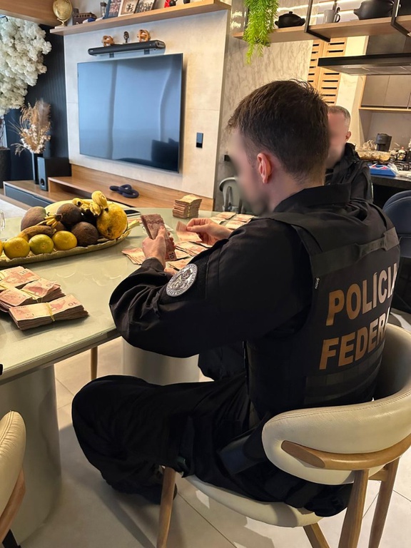 Operação Anticaspa, Polícia Federal