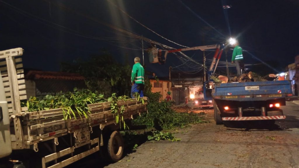 chuva derruba árvores em Guarulhos