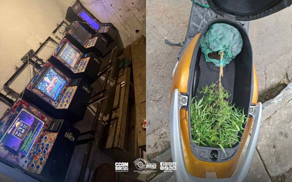 máquinas caça-níqueis e planta de maconha