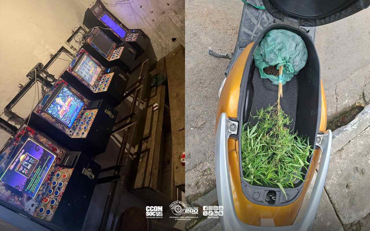 máquinas caça-níqueis e planta de maconha
